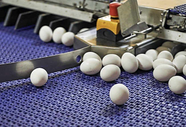 Bandas plásticas modulares